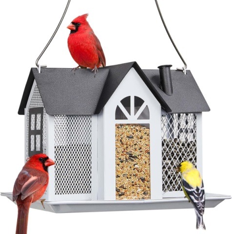 home bird feeder